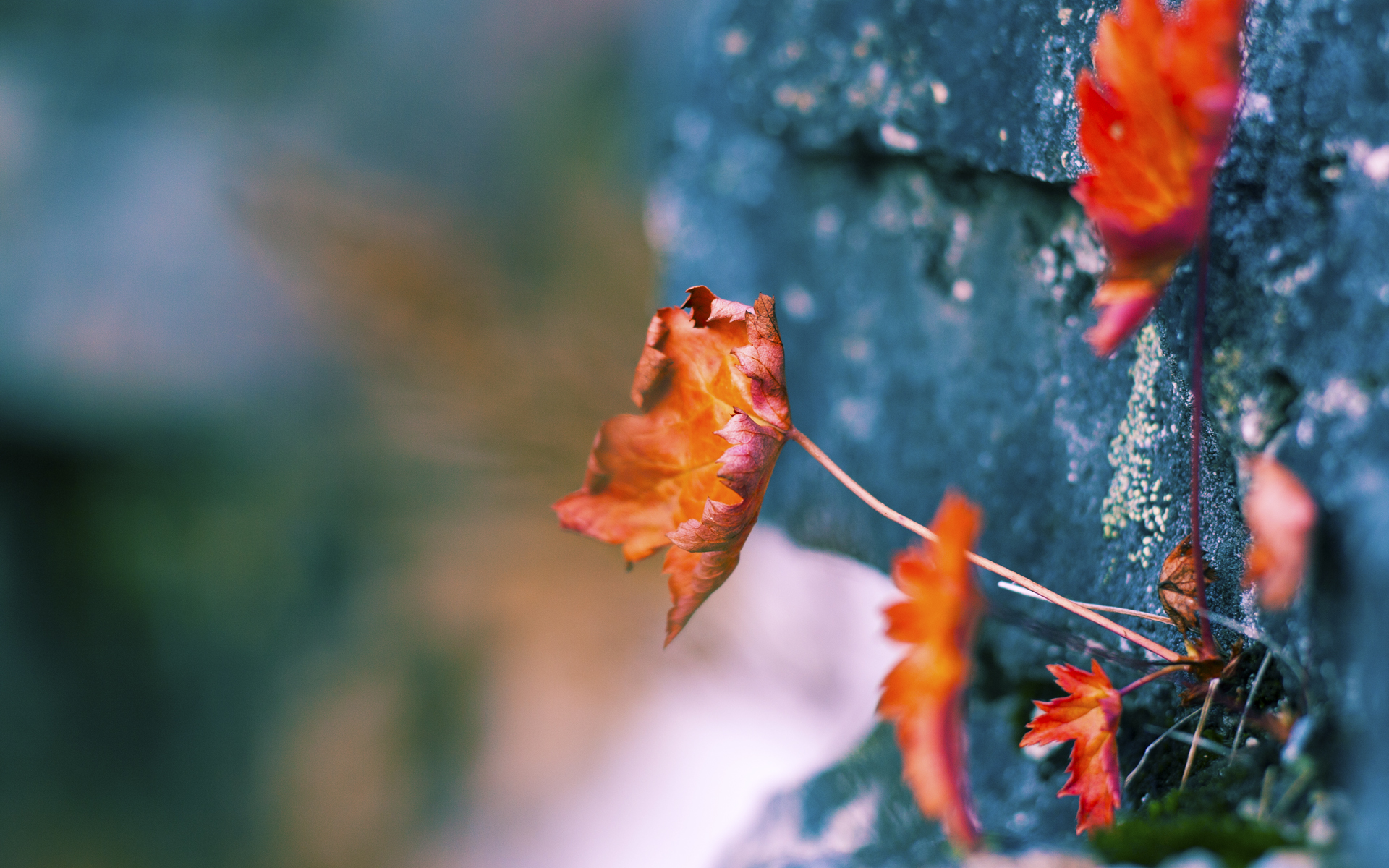 《电竞场馆布局，全国范围内百余场馆开始建造》，电竞场馆是干嘛的