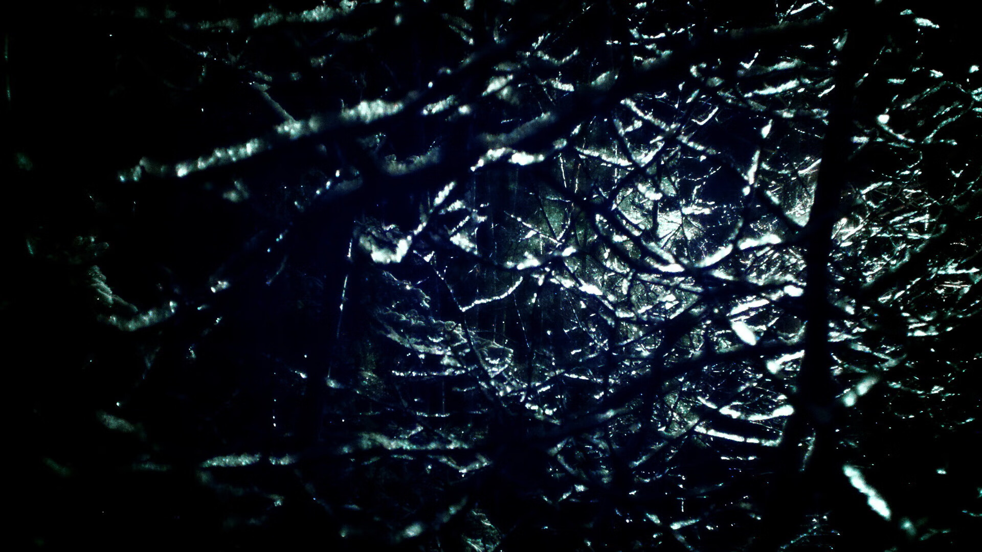 法甲推出“球迷日”,提升现场观赛氛围,法甲看球