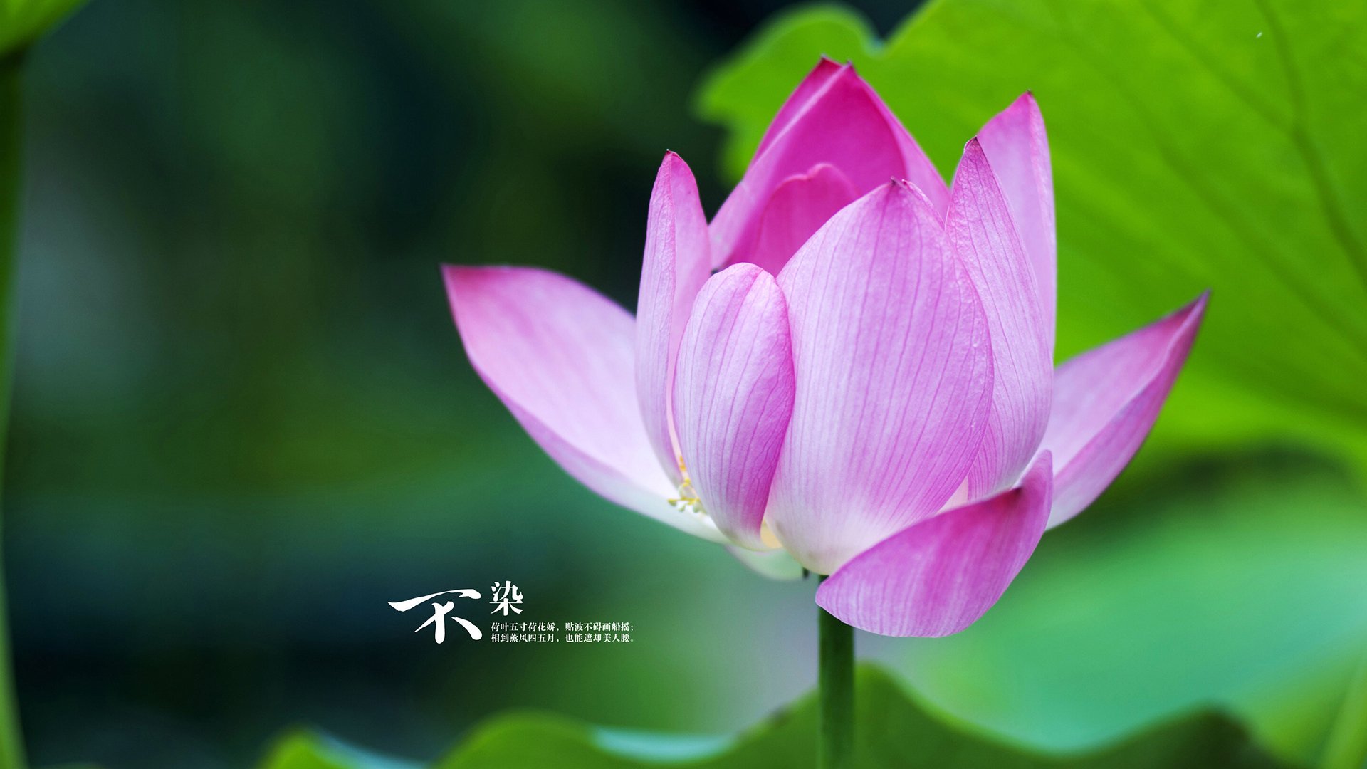 开云在线直播-法甲推出新观赛平台，增强粉丝沉浸感，2021-2022赛季法甲直播平台