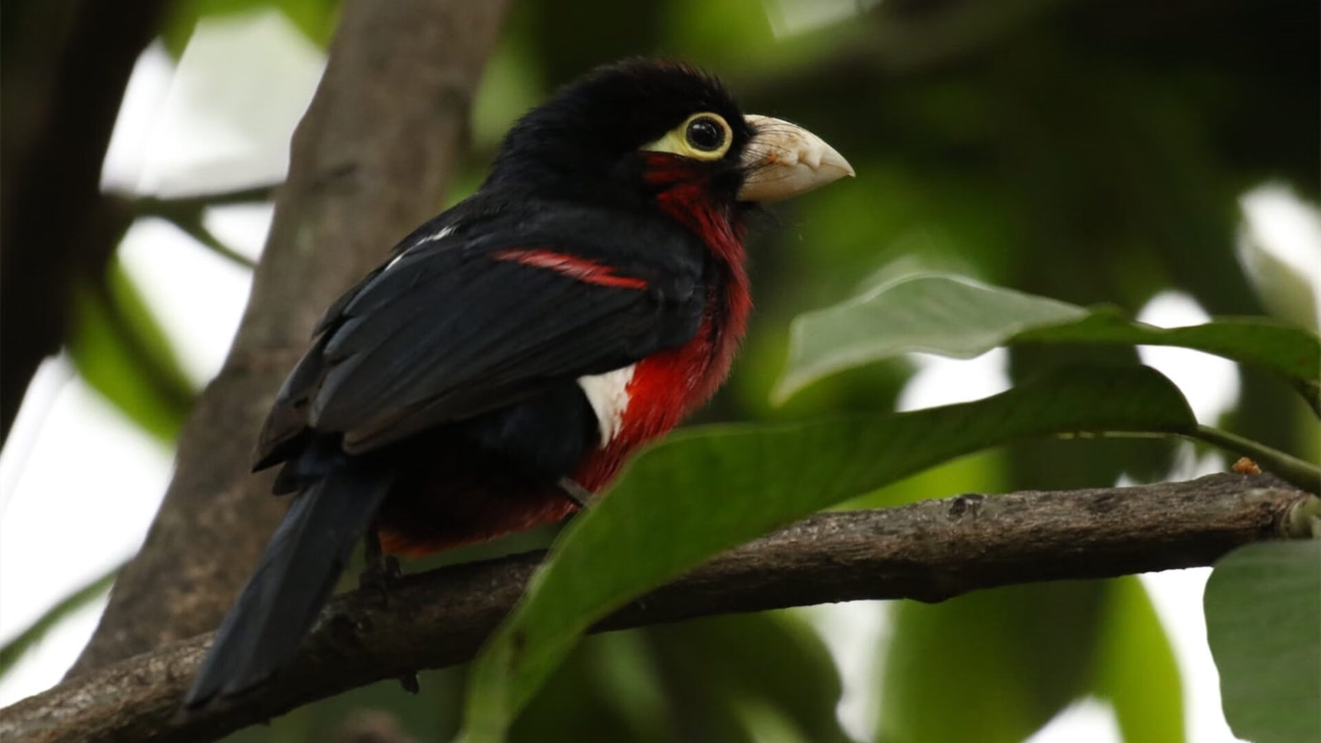 法甲新建球场收入不断提升,俱乐部财务改善,法甲十大球场