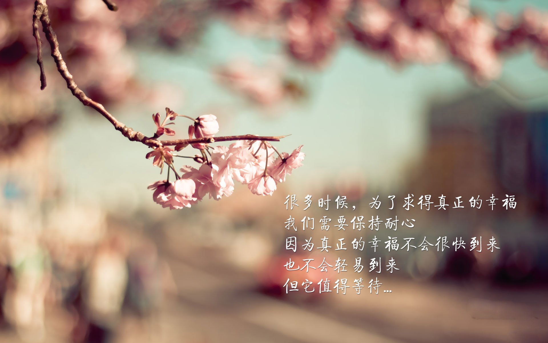 kaiyun体育综合-费城76人恩比德连续多场获得“30+”。他距离MVP还差多远？，费城76人 恩比德受伤