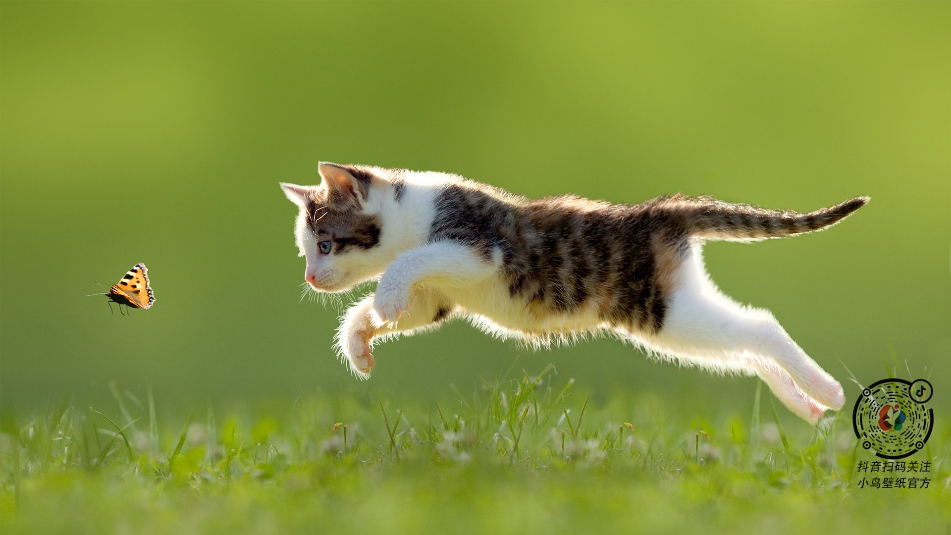 开云体育网页版入口-费城76人目标锁定东部前列，季后赛争夺火热！，费城76人简介