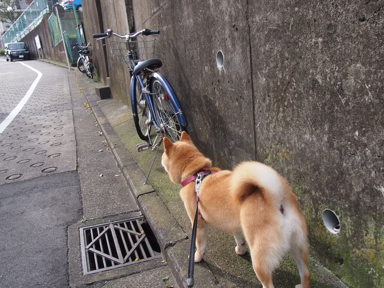 kaiyun 开云体育-凯撒酋长主帅谈球员转会策略，目标明确，足球凯撒 从未登场