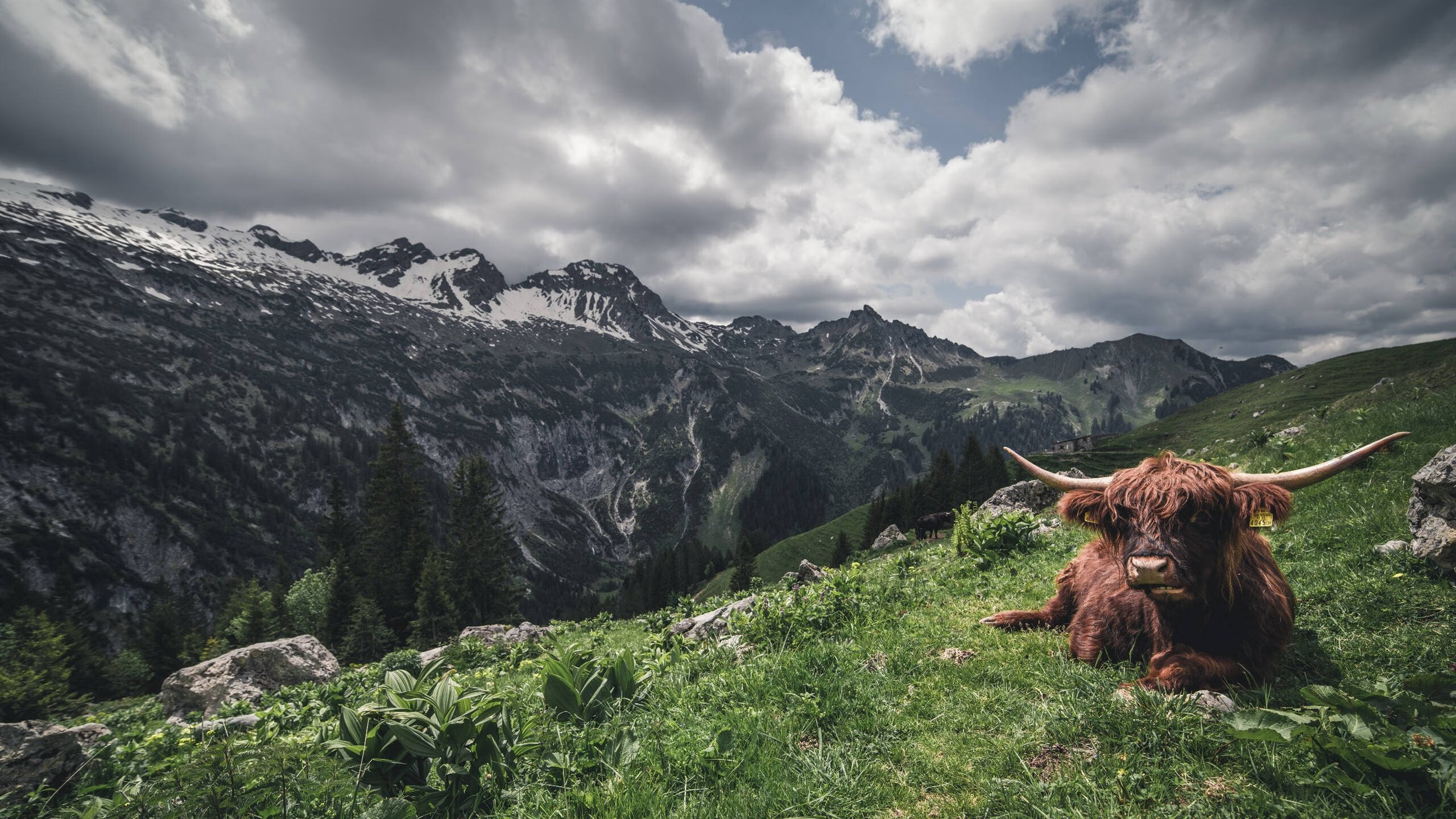开云首页登录-国际比赛上某队实力超群，轻松战胜对手，国际比赛有进攻三秒吗