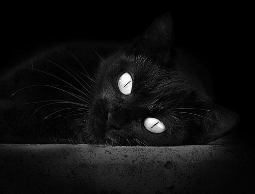 川崎前锋防守端表现稳固,川崎前锋的主力