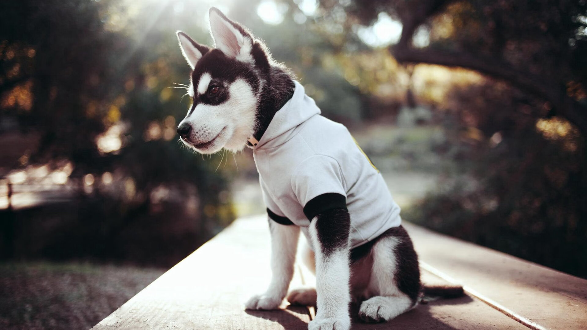 川崎前锋防线表现持续提升，川崎前锋集锦