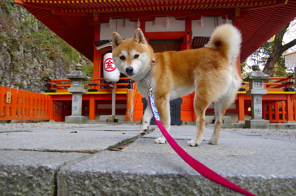 普拉提课程在企业员工健康管理中应用广泛，普拉提培训的课程介绍