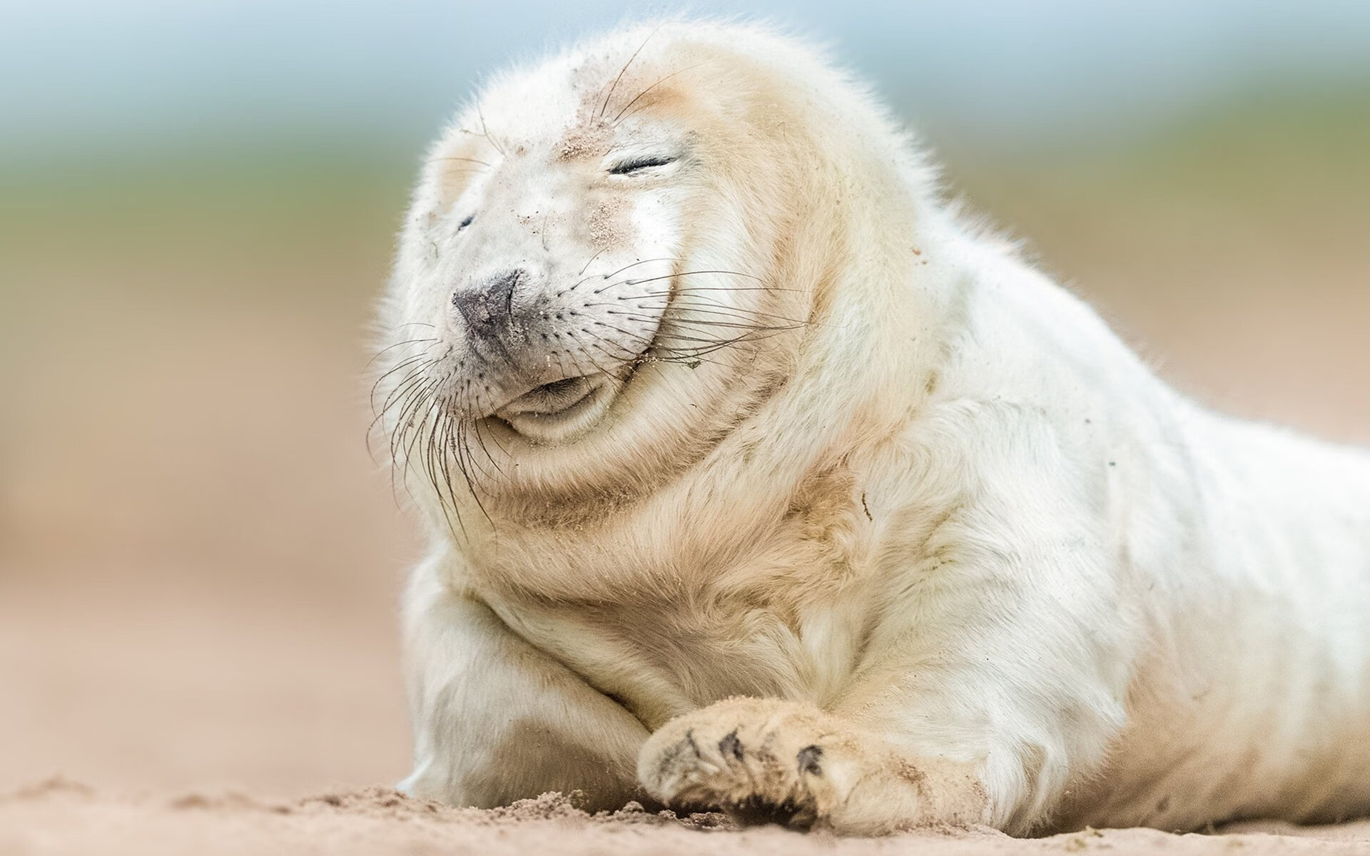 波尔多客场击败尼姆队，取得连胜，波尔多球队比赛结果