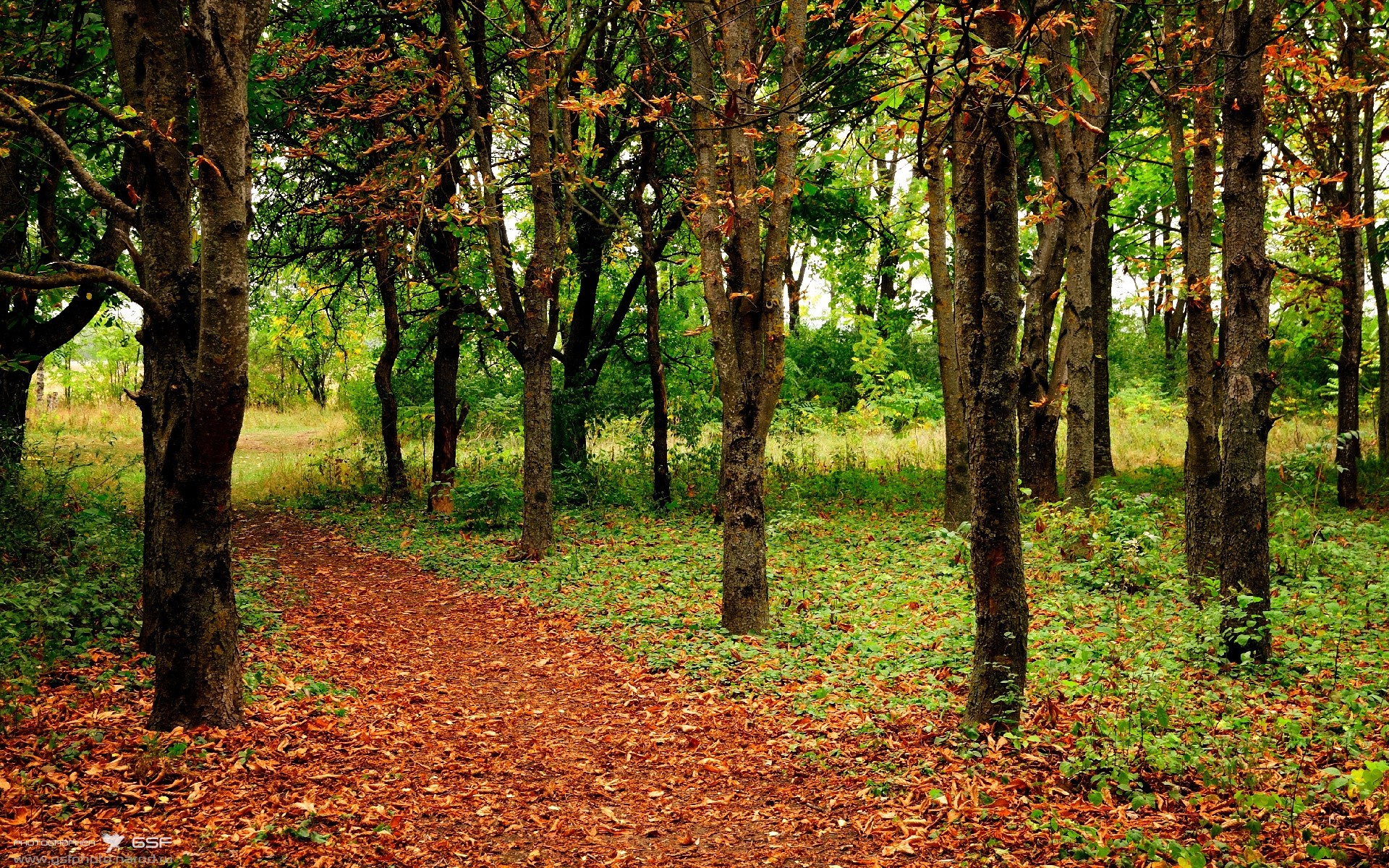 kaiyun中国官方网站-波尔多客场击败洛里昂，取得三分，波尔多对阵昂热