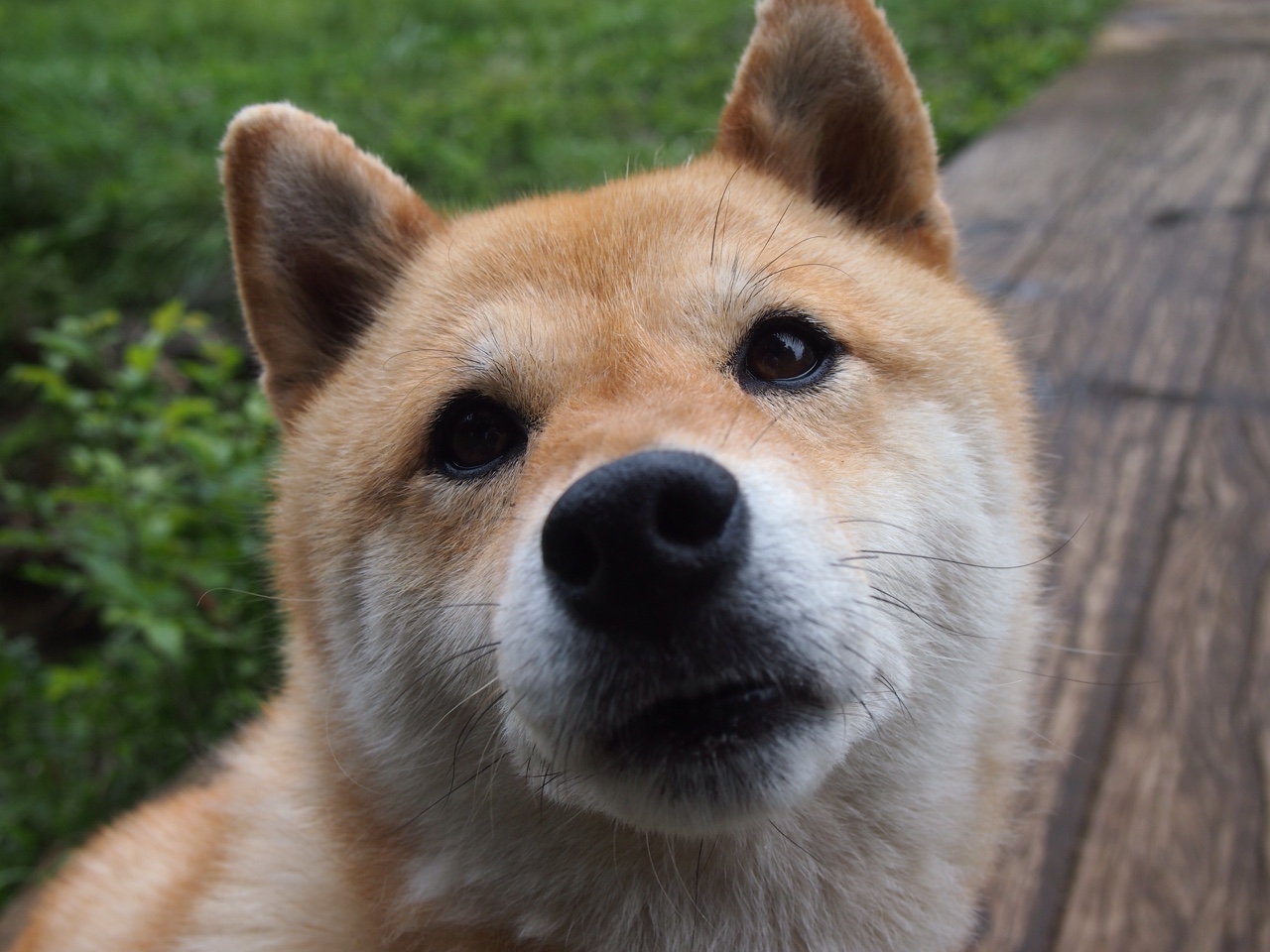 王者荣耀电竞明星访谈,王者荣耀职业选手采访