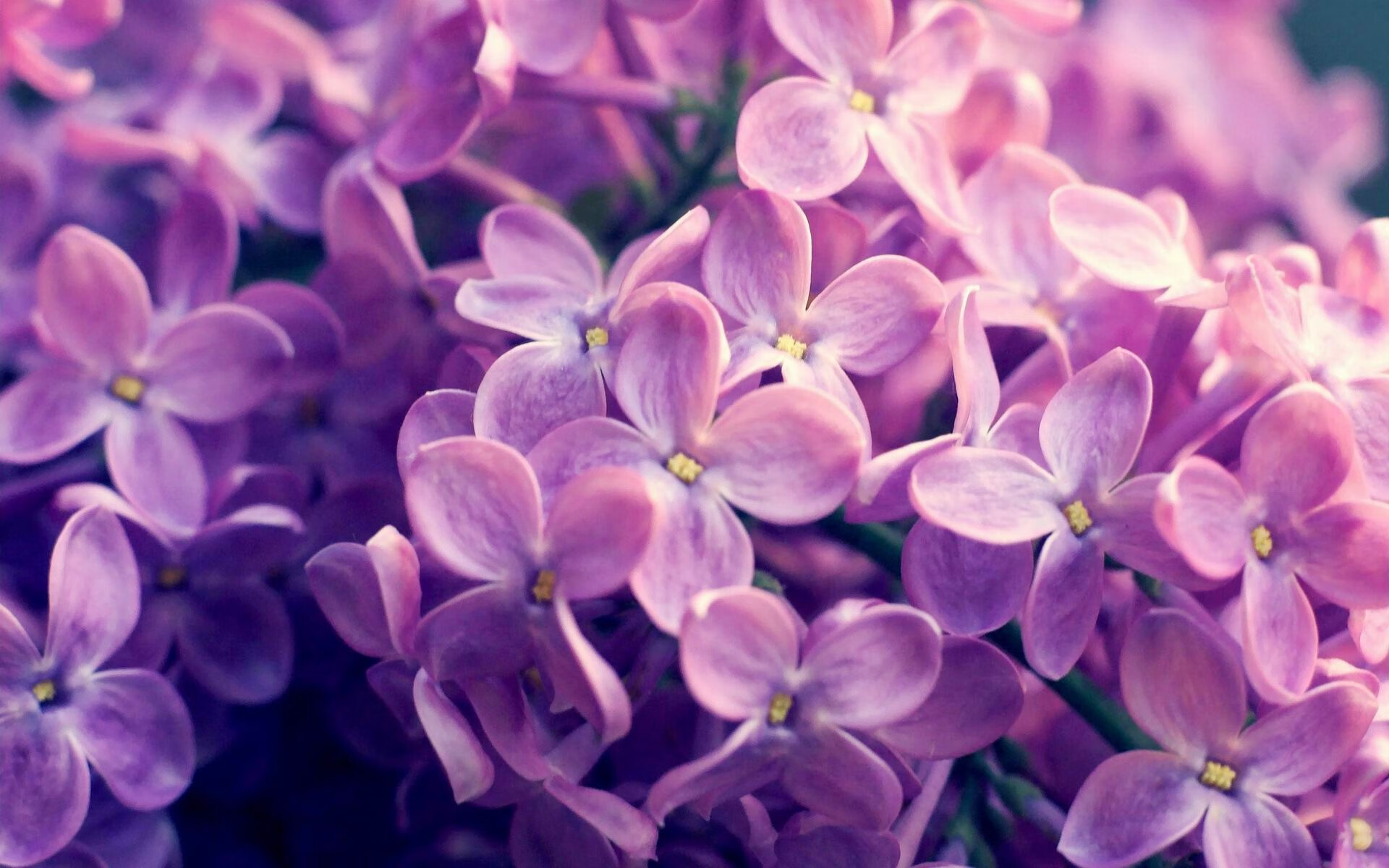 赛事安全保障措施加强，赛事保障工作