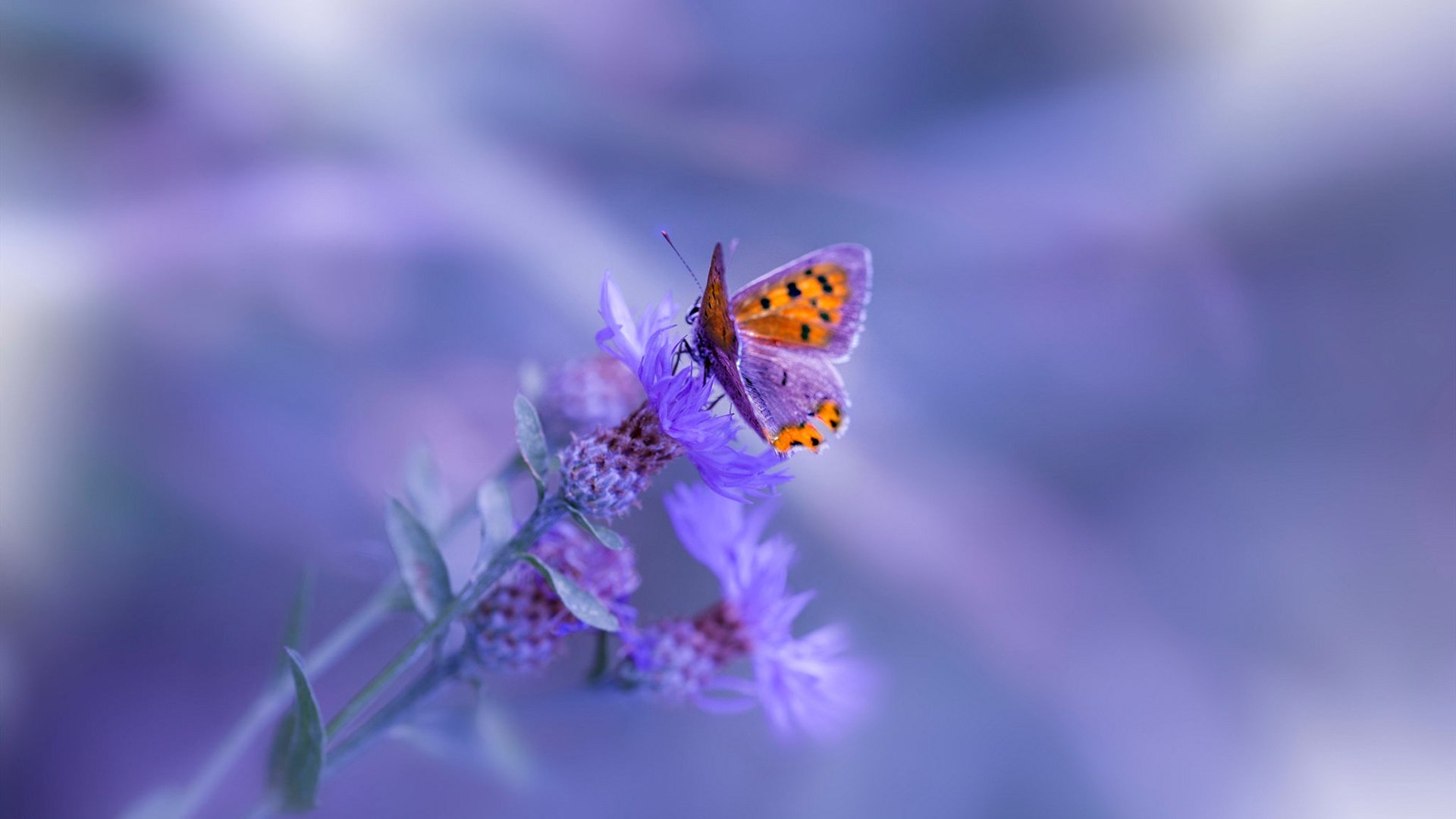 马竞客场1-0战胜奥萨苏纳，艰难取胜，西甲_马竞2-1奥萨苏纳继续领跑