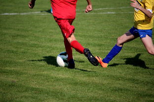 开云官网首页-世界台球联赛中国队勇夺团体亚军，世界台球联赛中国队勇夺团体亚军是谁