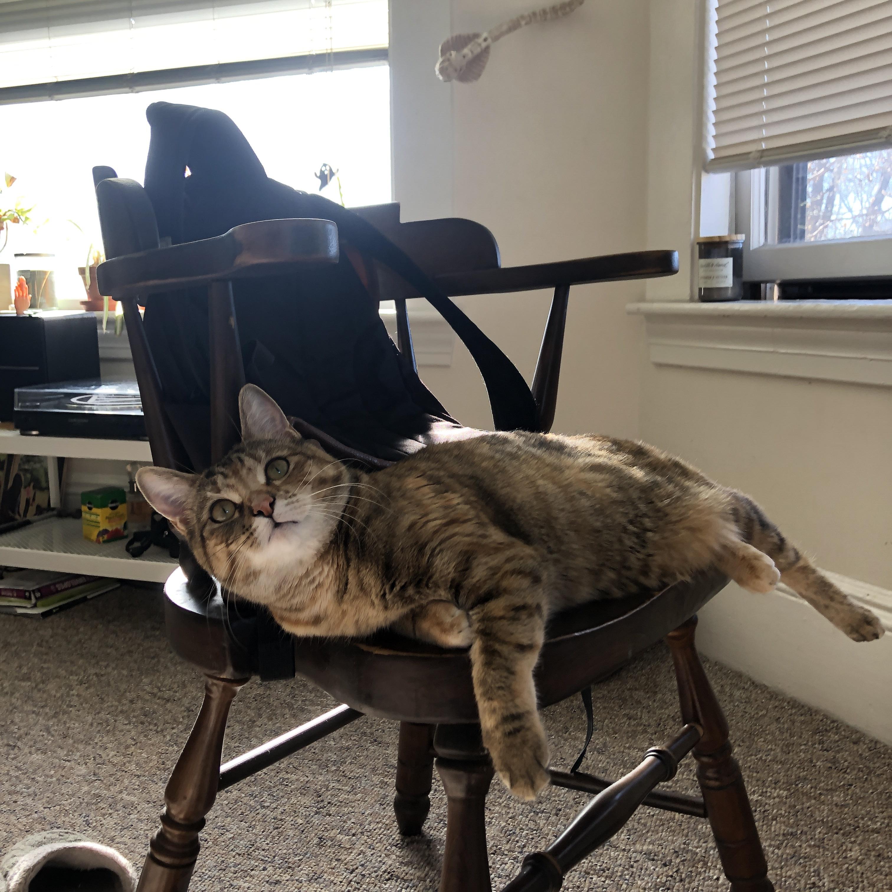 世界台球联赛中国队勇夺团体亚军，世界台球联赛中国队勇夺团体亚军是谁