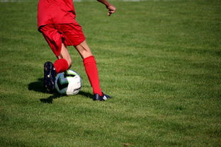 kaiyun体育综合-校园足球教练培训体系现状与改革思路，校园足球师资培训