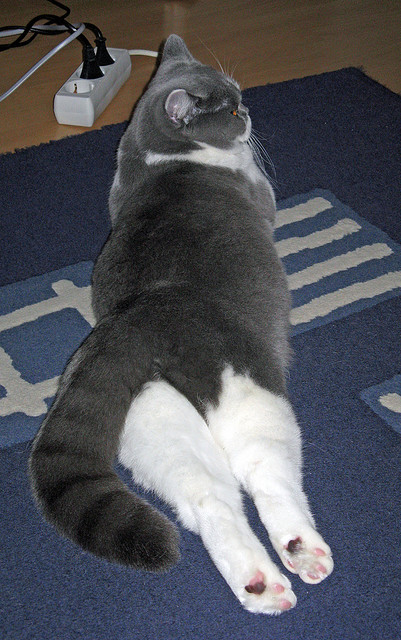 kaiyun开云·官方网站-“高新区全民健身馆：壁球竞技，极速对决让你眼花缭乱！”