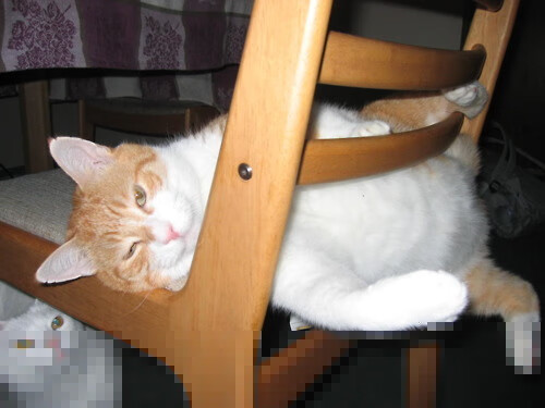 从世界杯预选赛看U23国足 激烈走势凸显希望,世界杯预选赛国足大胜