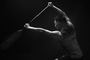 开云·Kaiyun网页版-全民健身摄影作品展览走进体育馆大厅，体育运动摄影作品展