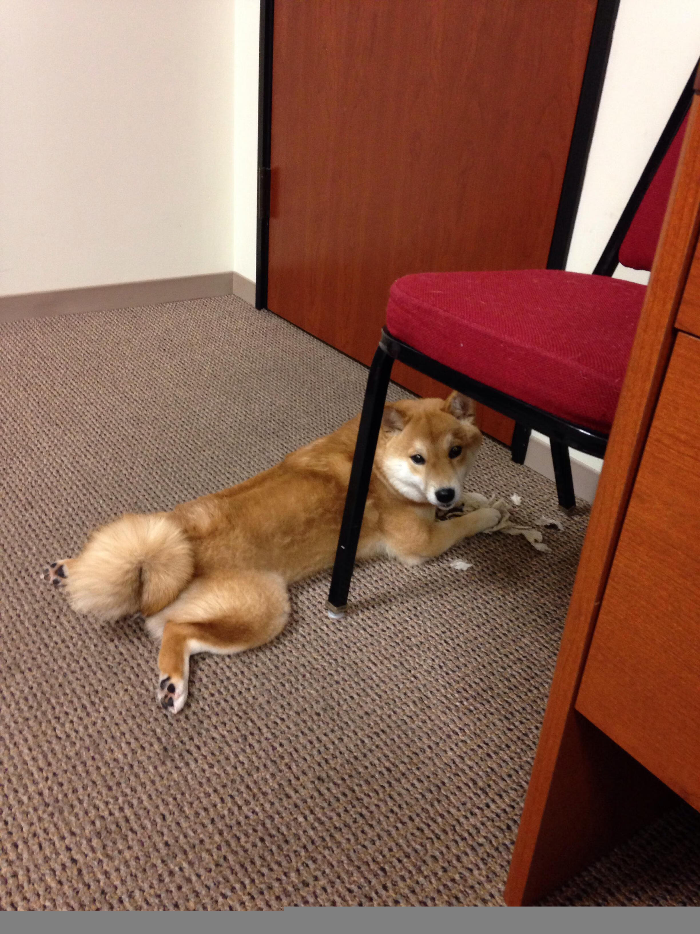 控场三角提升中路压迫能力