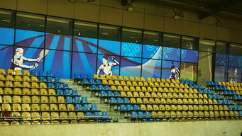 kaiyun网站-澳大利亚队未来如何利用青训体系打造新一代乒乓巨星，澳大利亚乒乓球