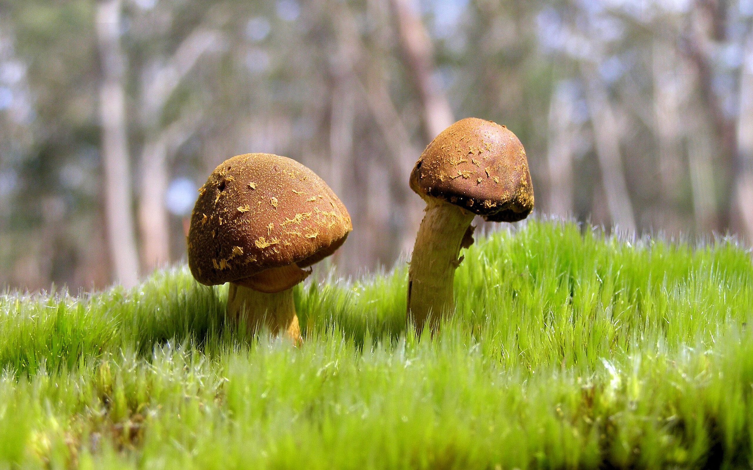 kaiyun官方入口登录-拜仁主帅透露球队将补强锋线，拜仁新主帅